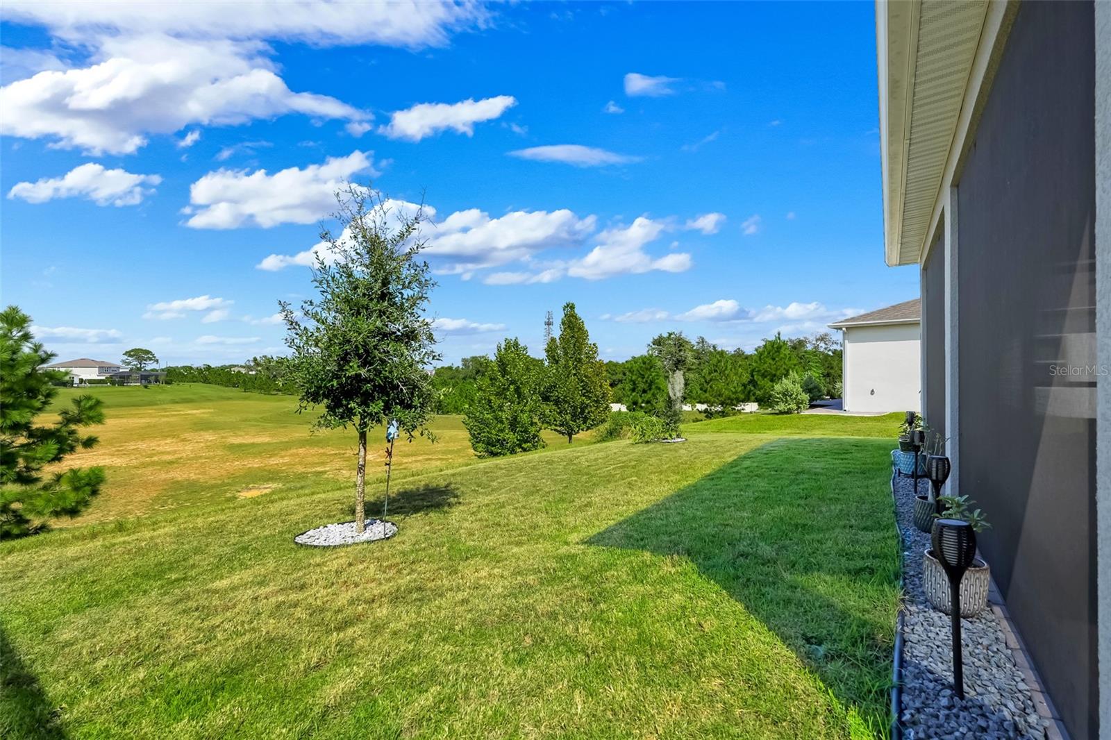 4540 Gliding Wave St Property Photo 35