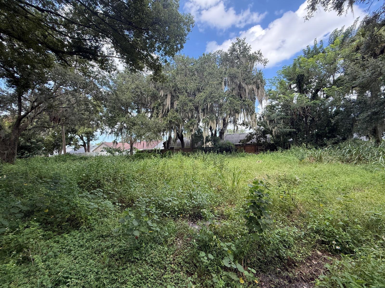 226 Jones Ave Property Photo 5