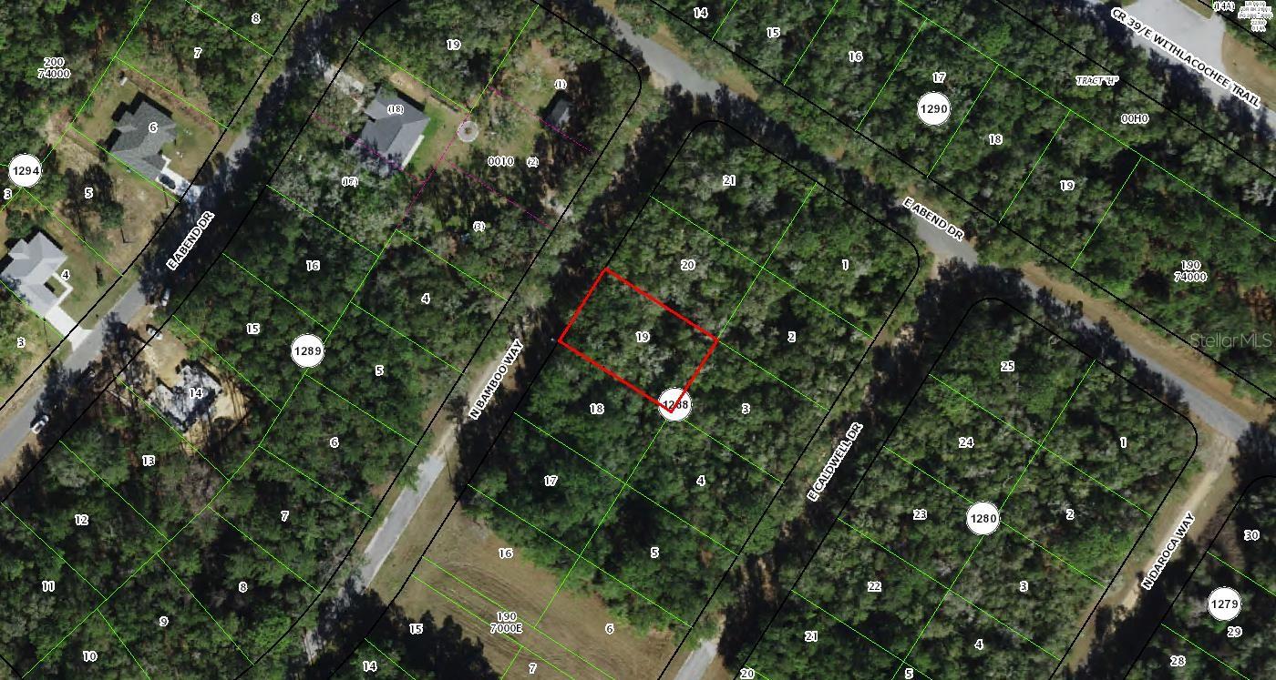 10063 N Bamboo Way Property Photo