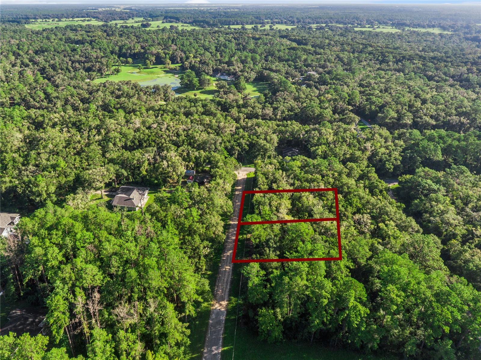 10063 N Bamboo Way Property Photo 2