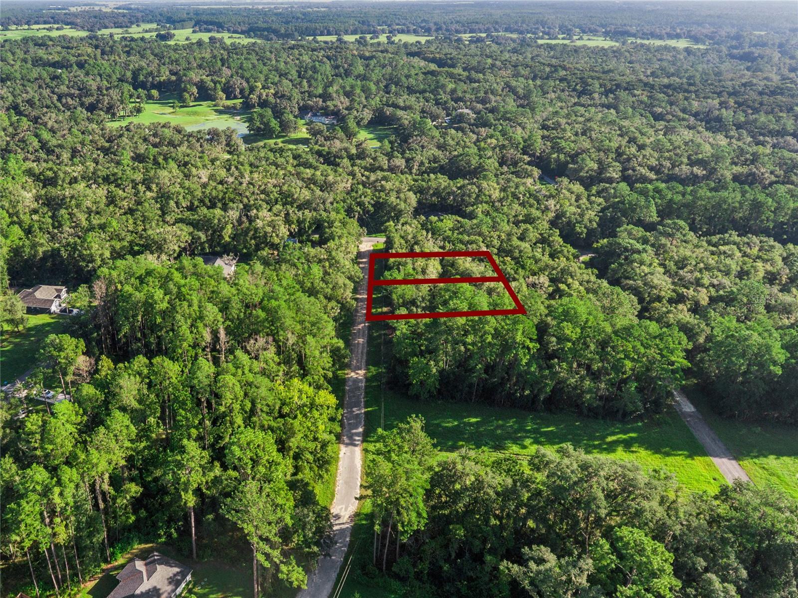 10063 N Bamboo Way Property Photo 3