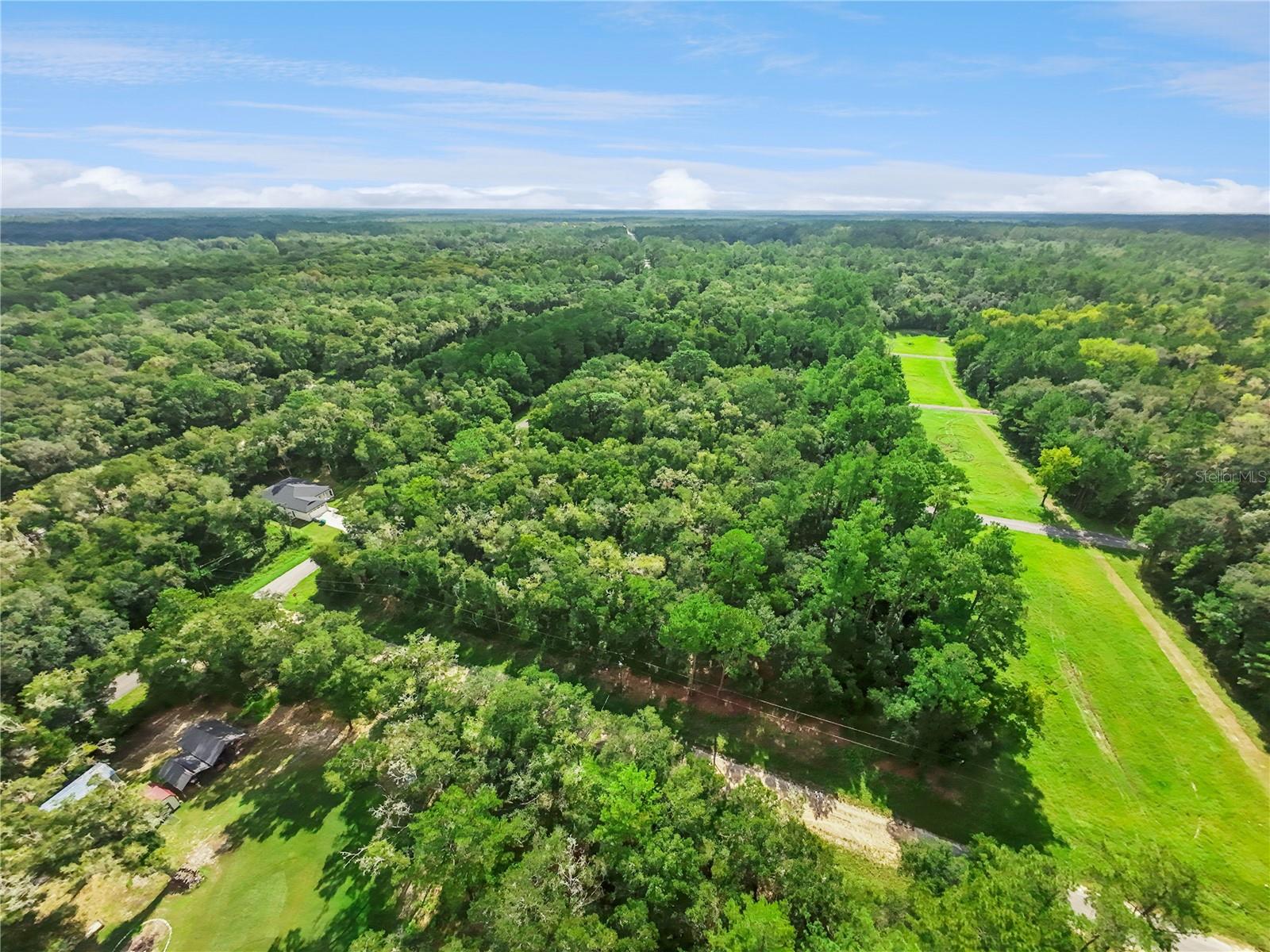 10063 N Bamboo Way Property Photo 6