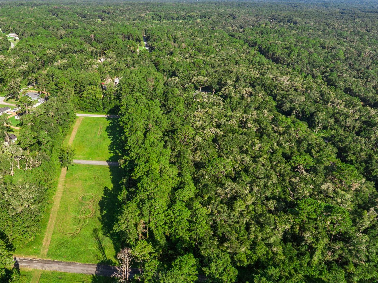 10063 N Bamboo Way Property Photo 8