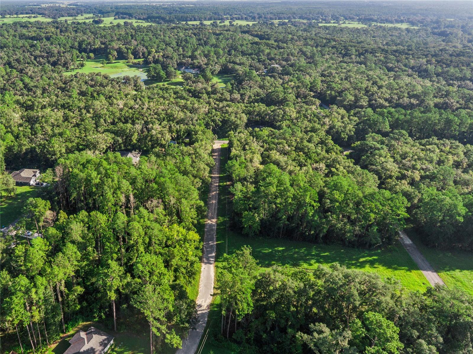 10063 N Bamboo Way Property Photo 9