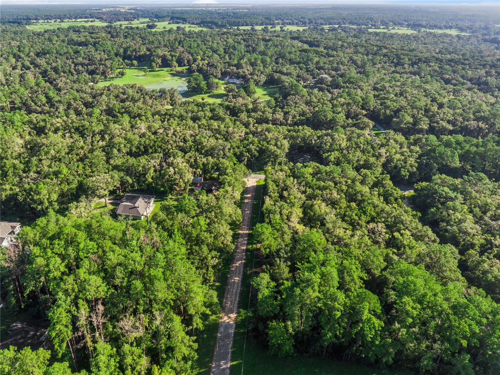 10063 N Bamboo Way Property Photo 10