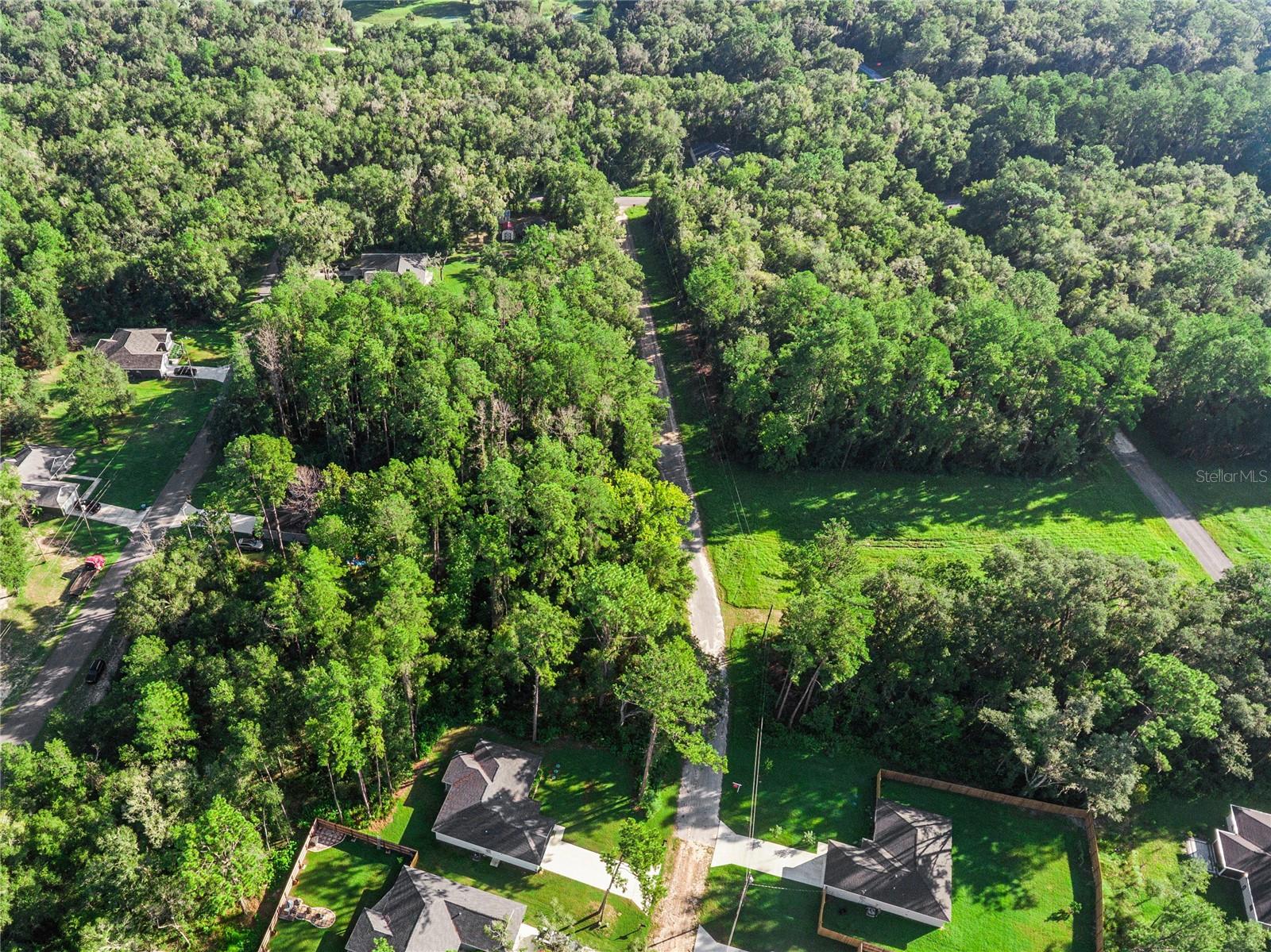 10063 N Bamboo Way Property Photo 12