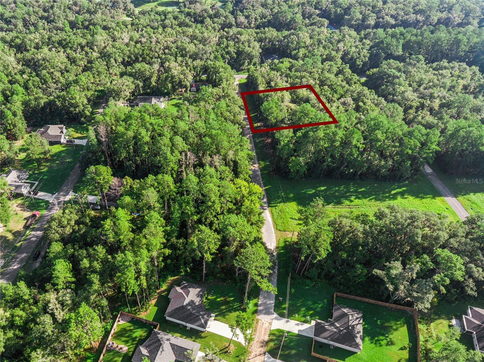 10063 N Bamboo Way Property Photo 13
