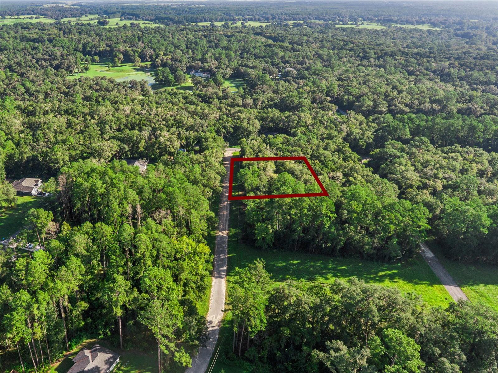 10063 N Bamboo Way Property Photo 15
