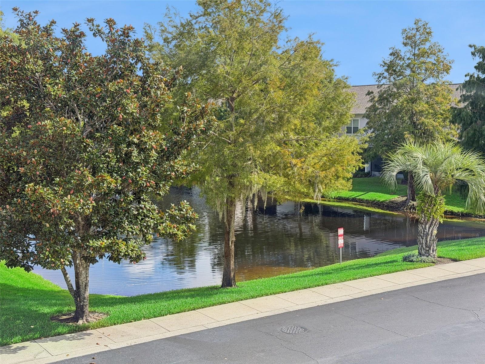 512 Pinebranch Cir Property Photo 38