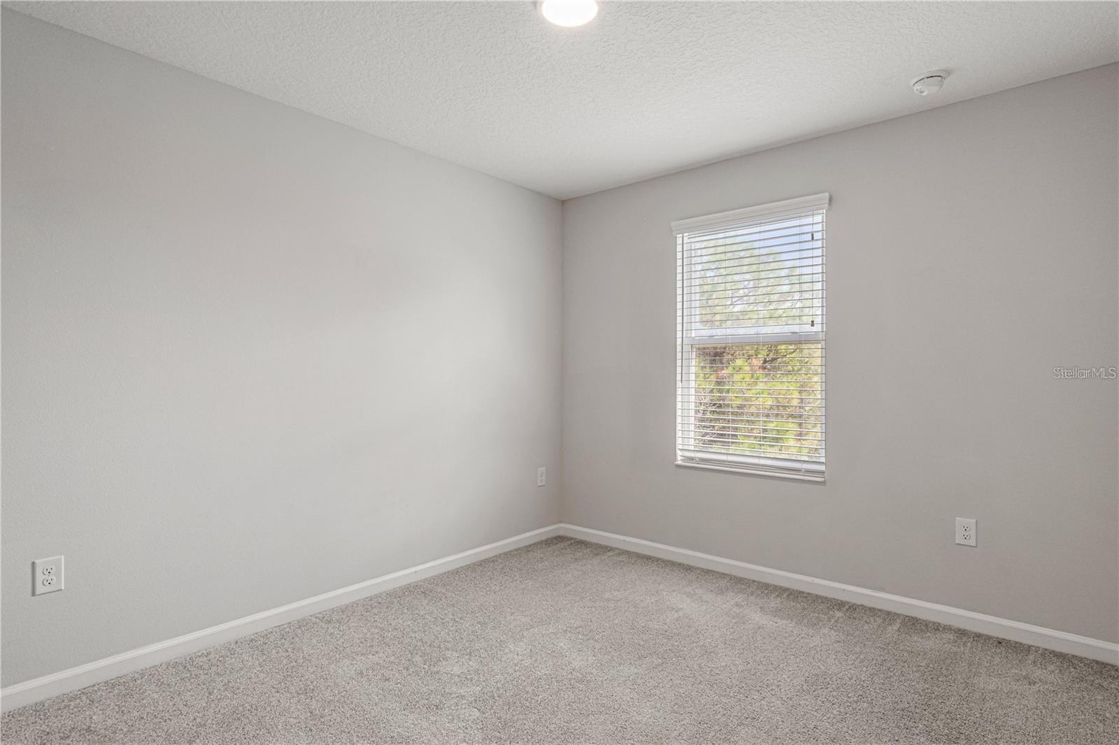 2875 Narcoossee Commons Way Property Photo 15