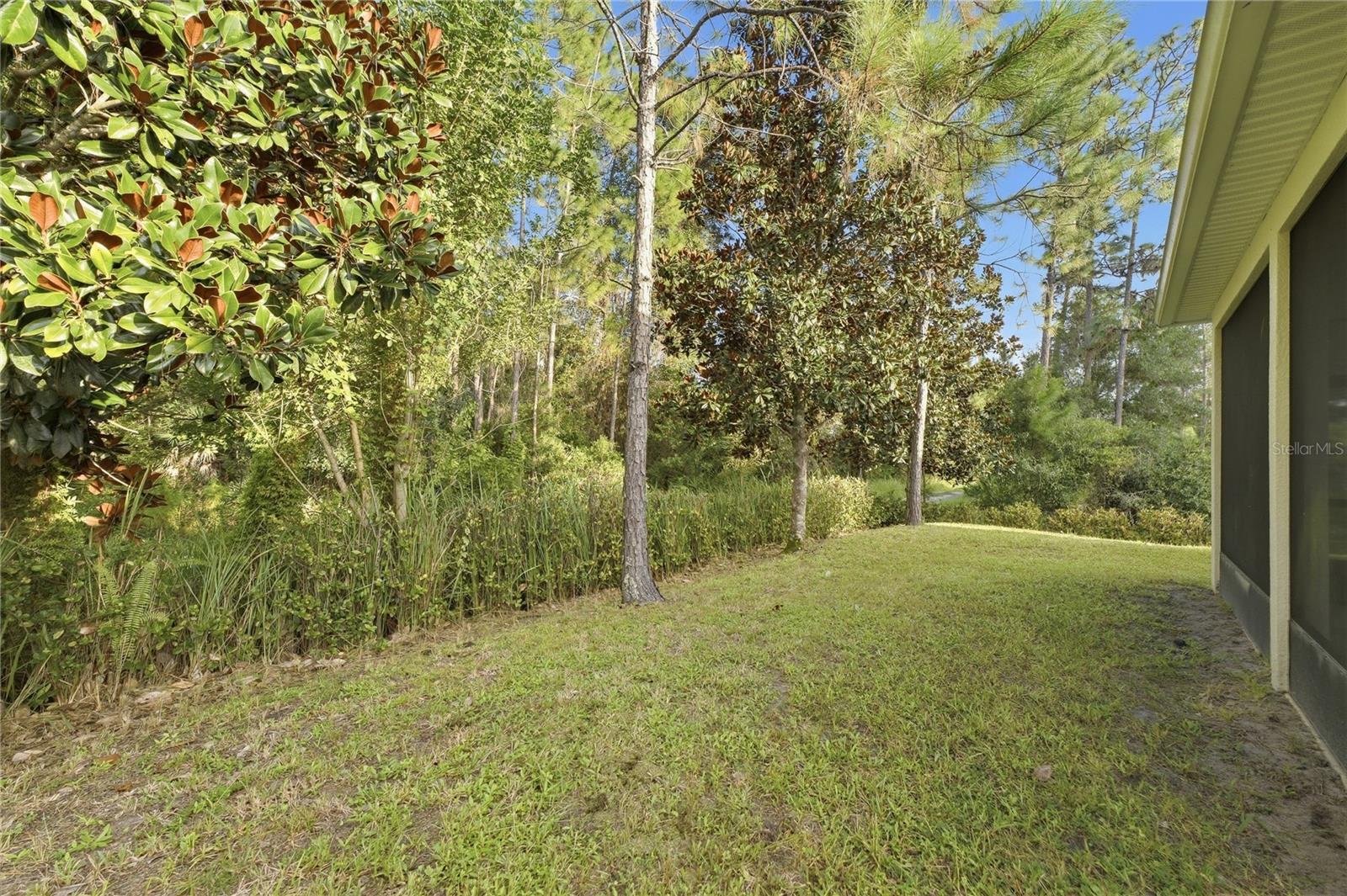 2301 Avellino Ave Property Photo 35