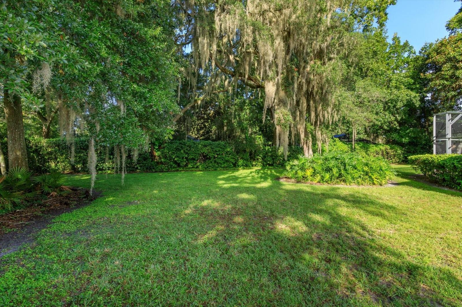 536 Avon Glade Pl Property Photo 19