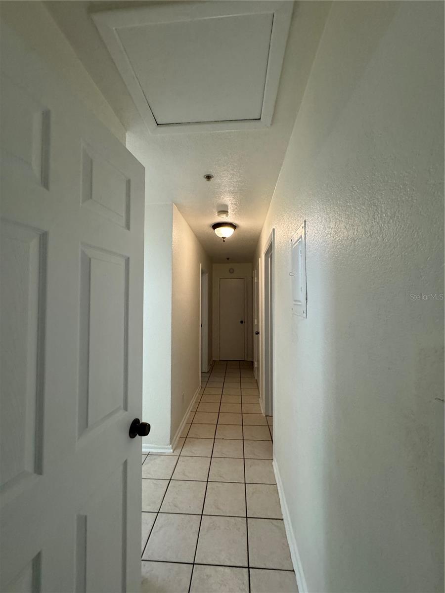 3111 Eleuthera Ln Property Photo 11
