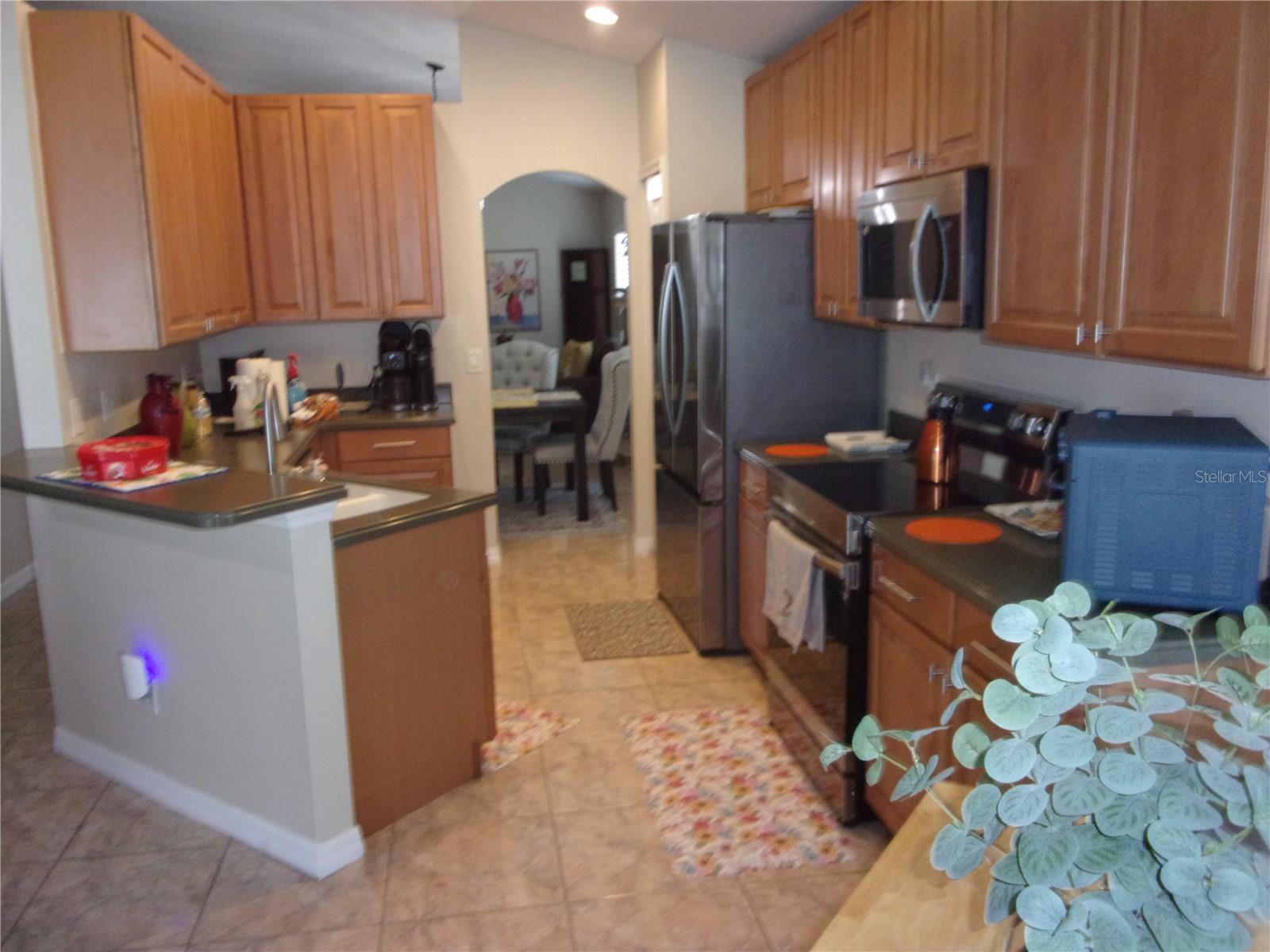 1519 Lalique Ln Property Photo 14