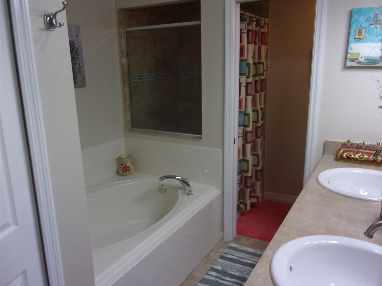 1519 Lalique Ln Property Photo 19