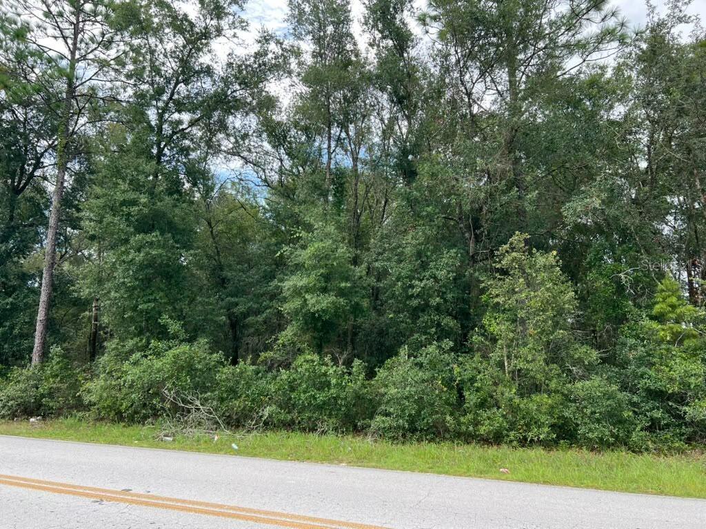 0 SE 132ND PL OCKLAWAHA Property Photo 1