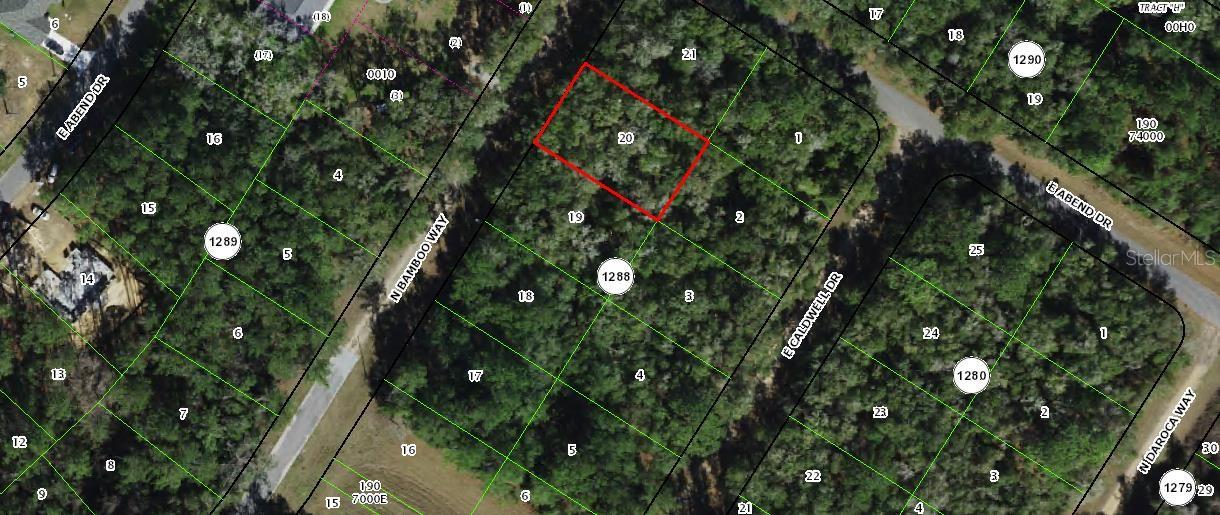 10075 N Bamboo Way Property Photo