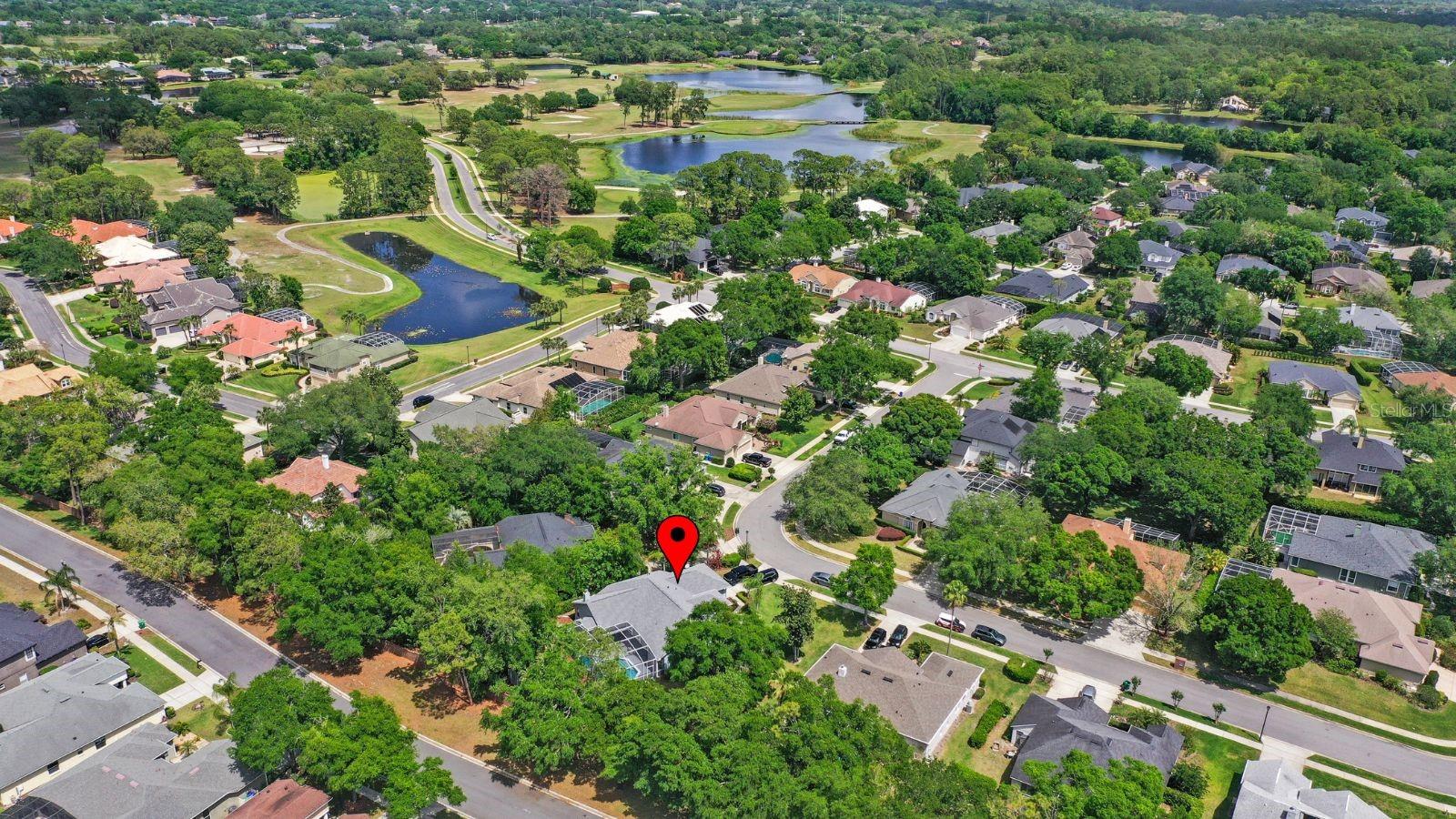 460 Alinole Loop Property Photo 39