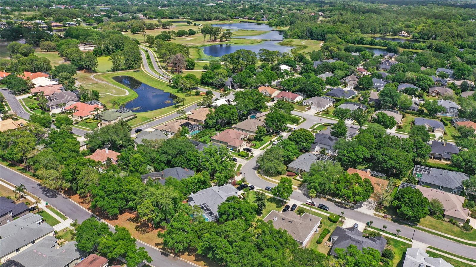 460 Alinole Loop Property Photo 46