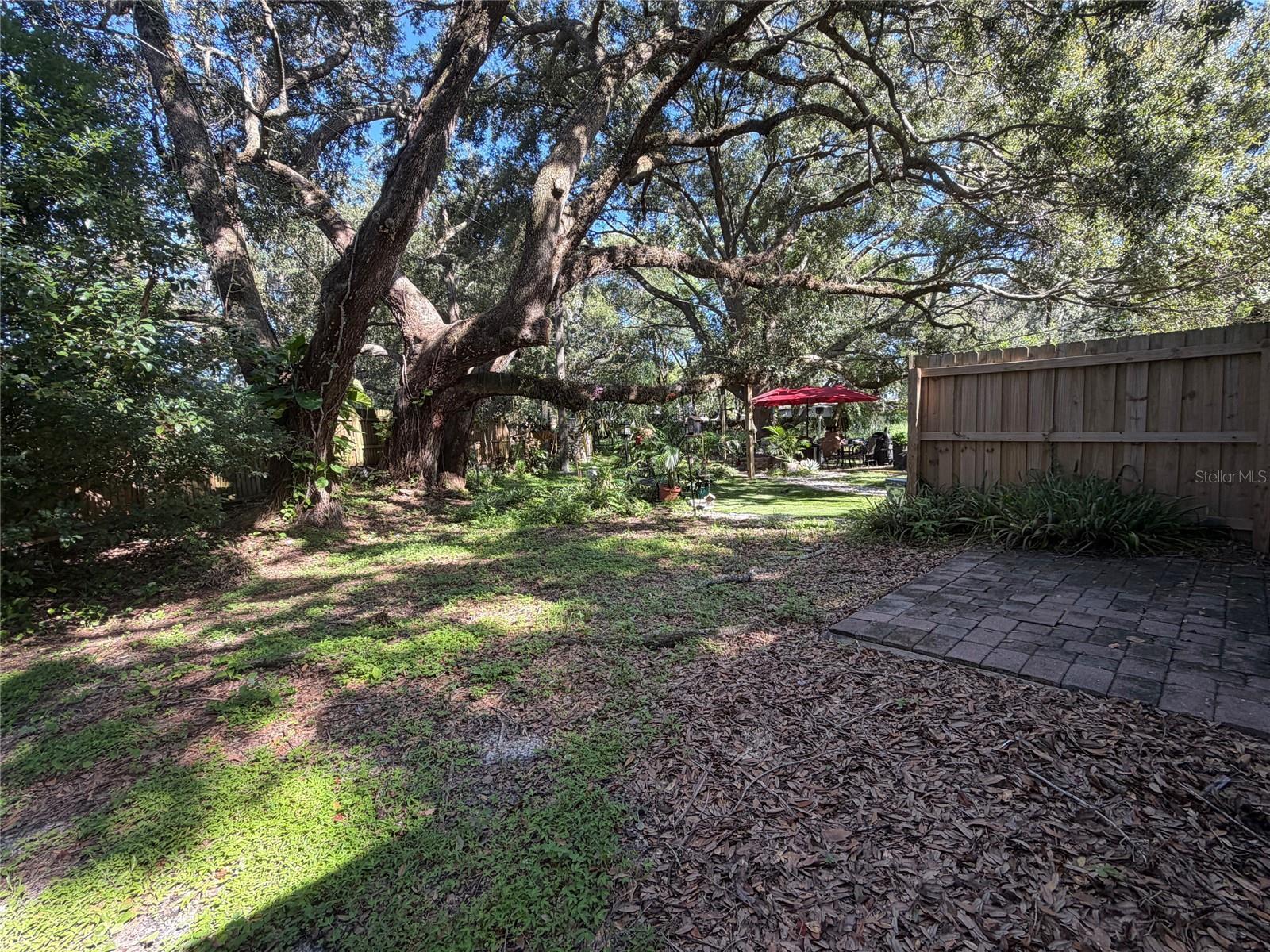 509 Varsity St Property Photo 8