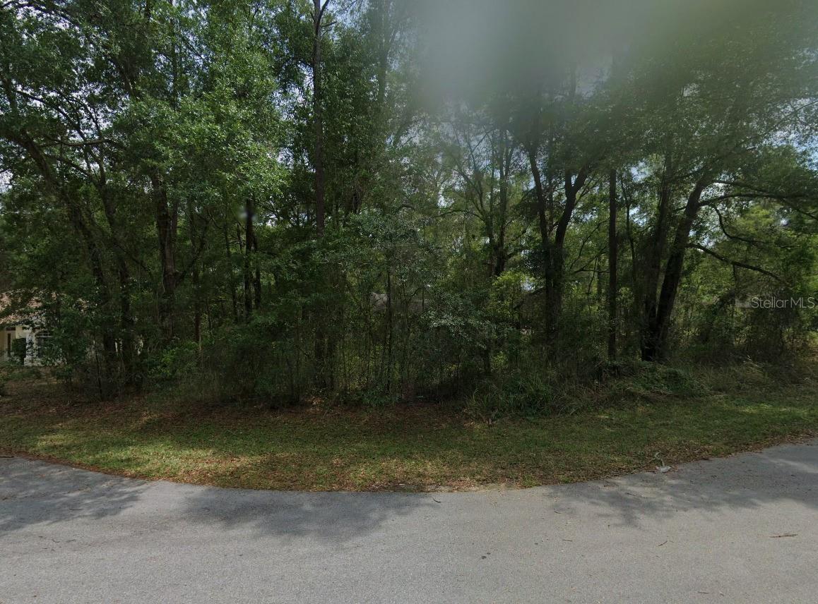 Lot 41 Sw 96th St Property Photo 1