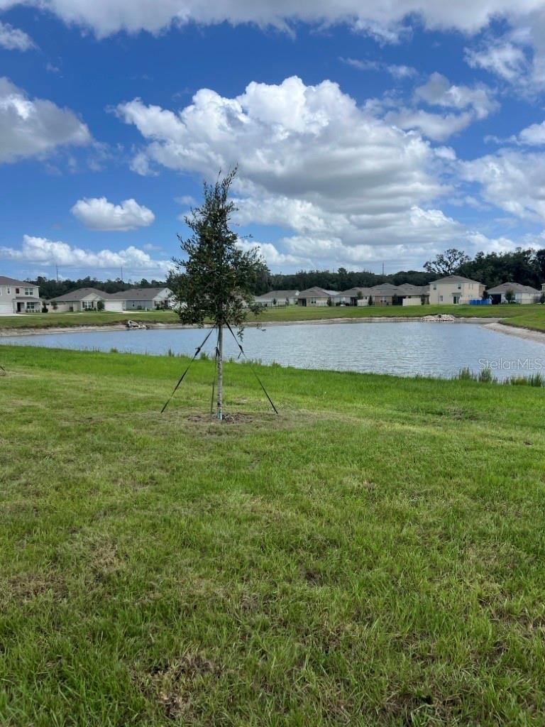 3329 Spineywood Dr Property Photo 18