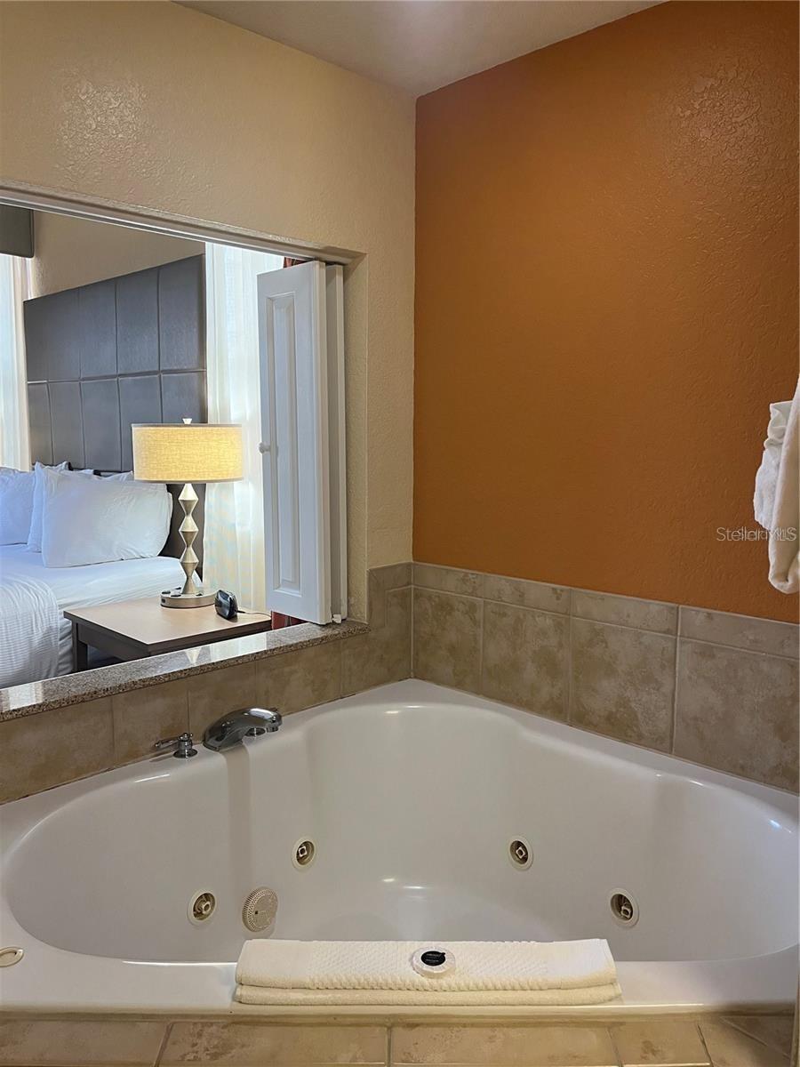 12539 Floridays Resort Dr #411d Property Photo 21