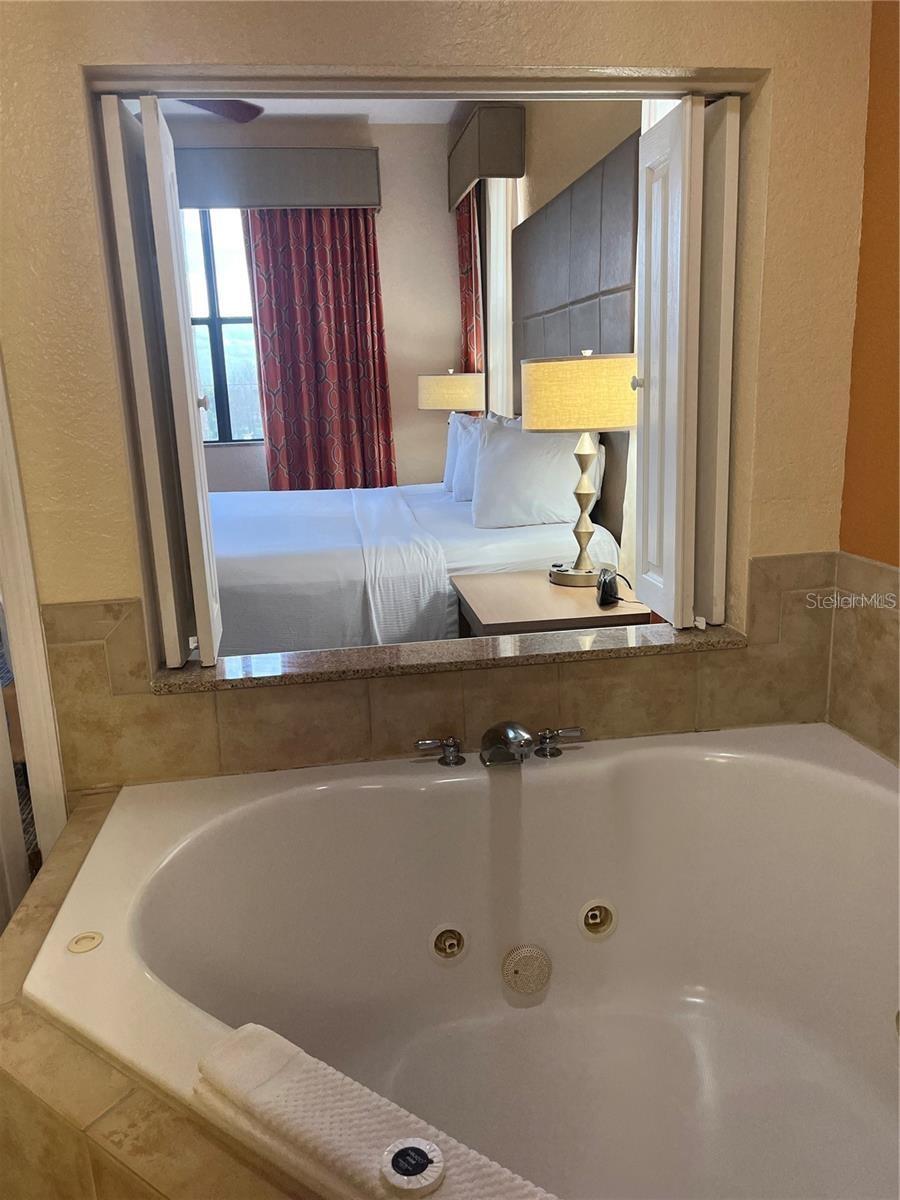 12527 Floridays Resort Dr #311e Property Photo 14