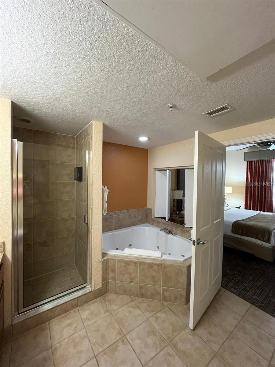 12527 Floridays Resort Dr #311e Property Photo 16