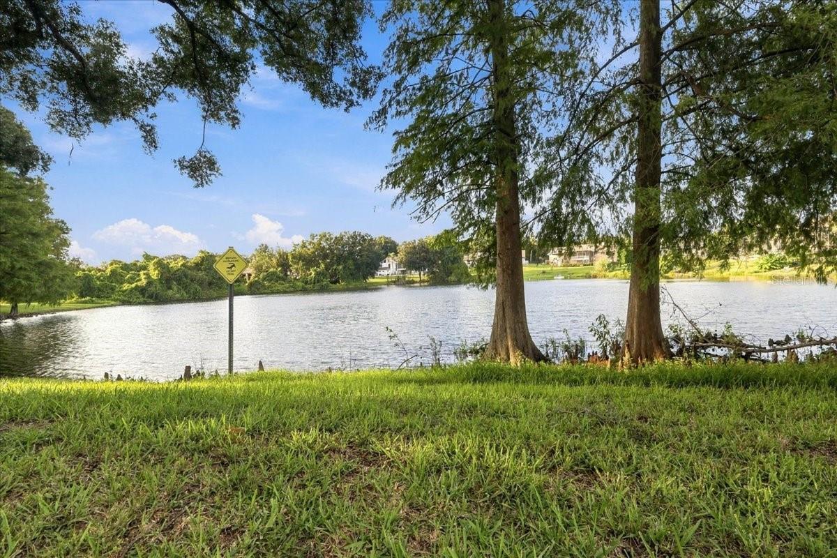 9320 Cypress Cove Dr Property Photo 59