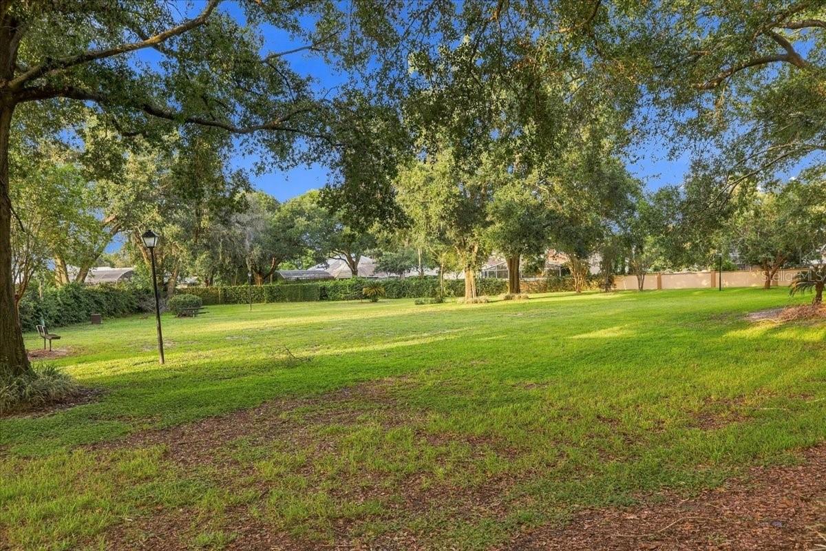 9320 Cypress Cove Dr Property Photo 61