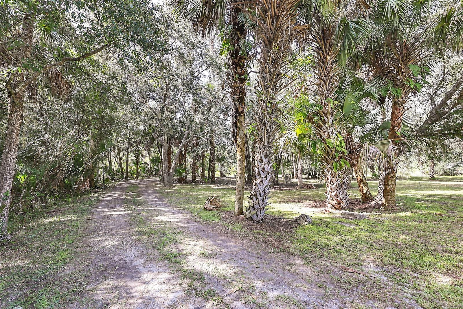 2415 Waccassa St Property Photo 48