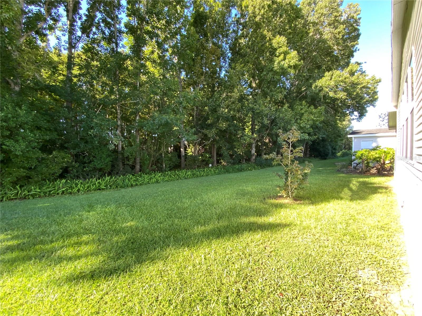 7832 Walkers Cay Ave Property Photo 17