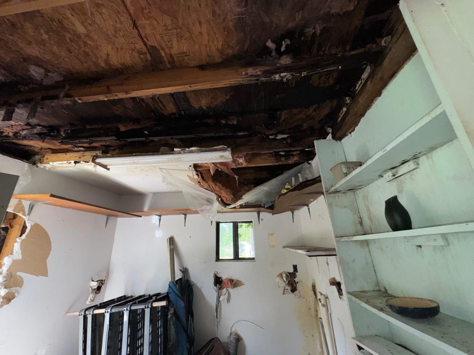 28148 Hibiscus Ave Property Photo 9
