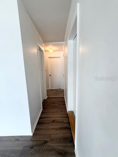 2215 Vine St Property Photo 10