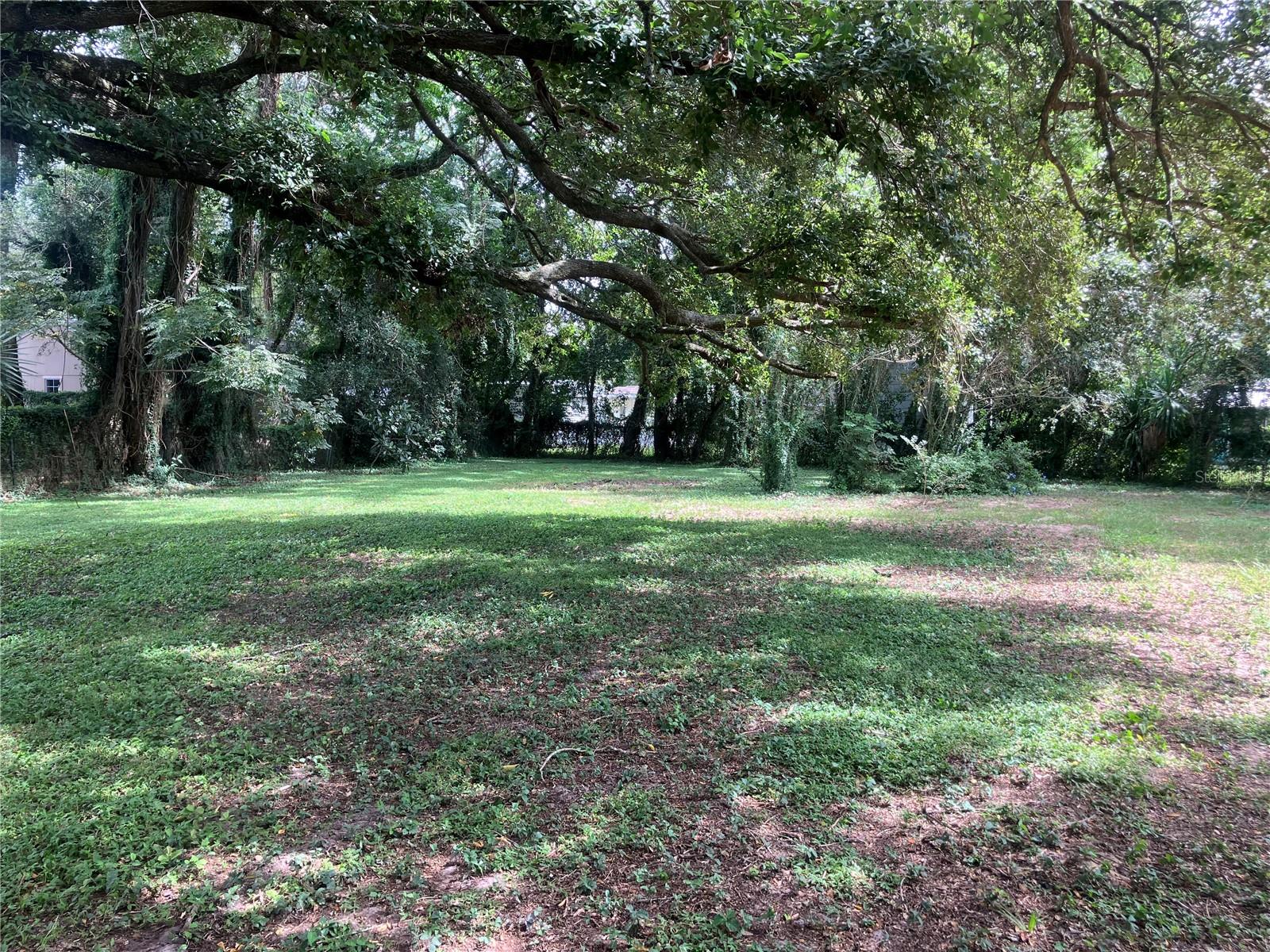 2013 Live Oak Dr Property Photo 3