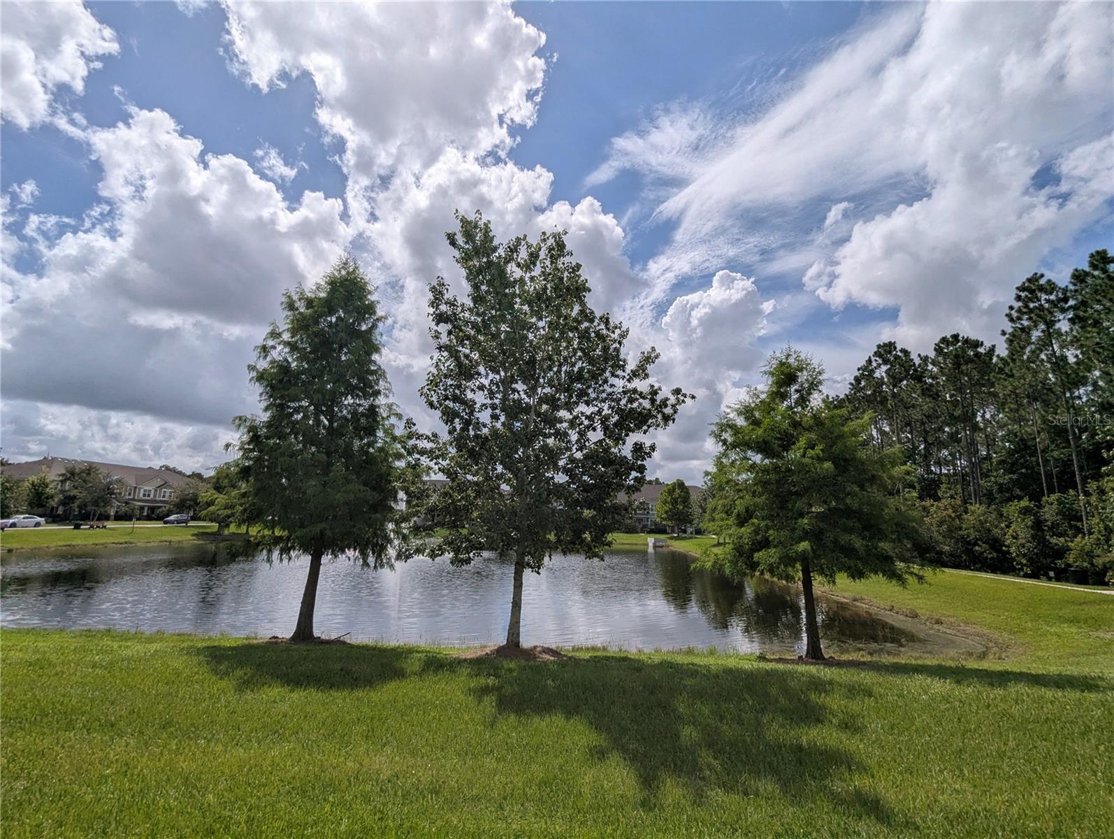 8855 Herencia Aly Property Photo 22