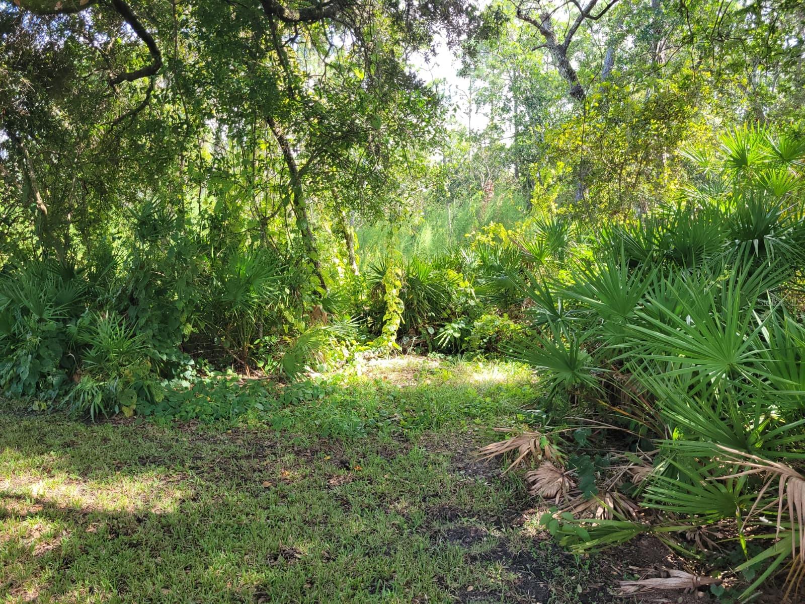 13706 Riverpath Grove Dr Property Photo 16