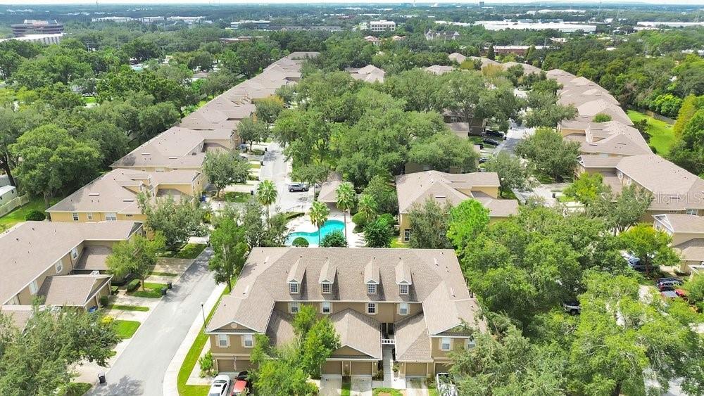 9811 Fan Palm Way Property Photo 26