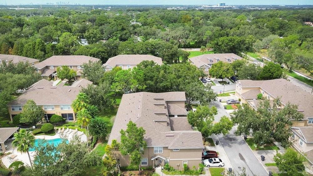 9811 Fan Palm Way Property Photo 29