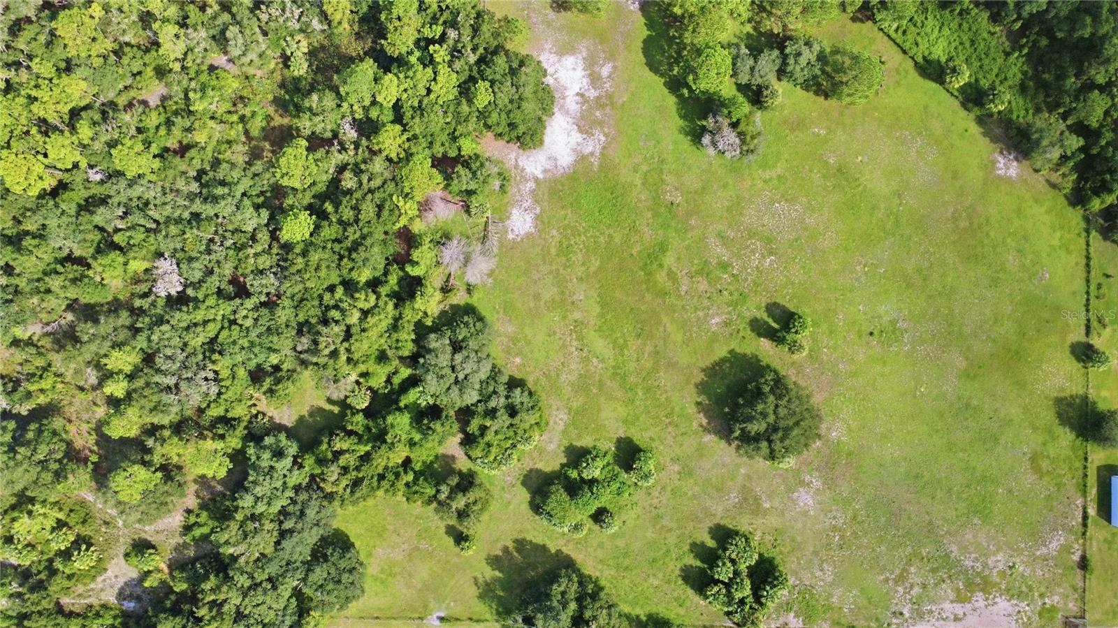 Seneca Oaks Trail Property Photo 16