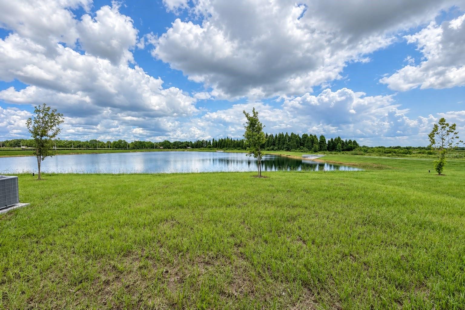 6221 Botticella Blvd Property Photo 4