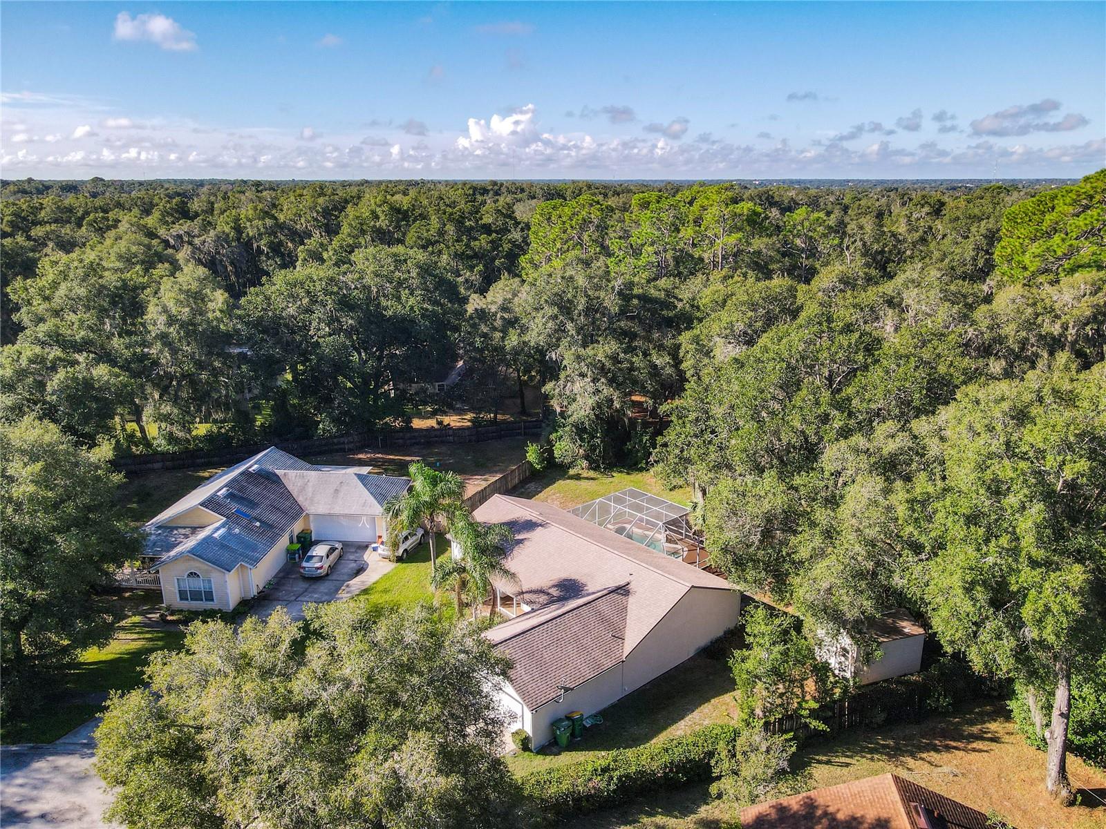 1056 Shady Hollow Dr Property Photo 44