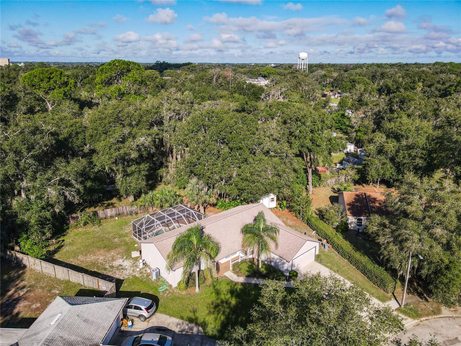 1056 Shady Hollow Dr Property Photo 46