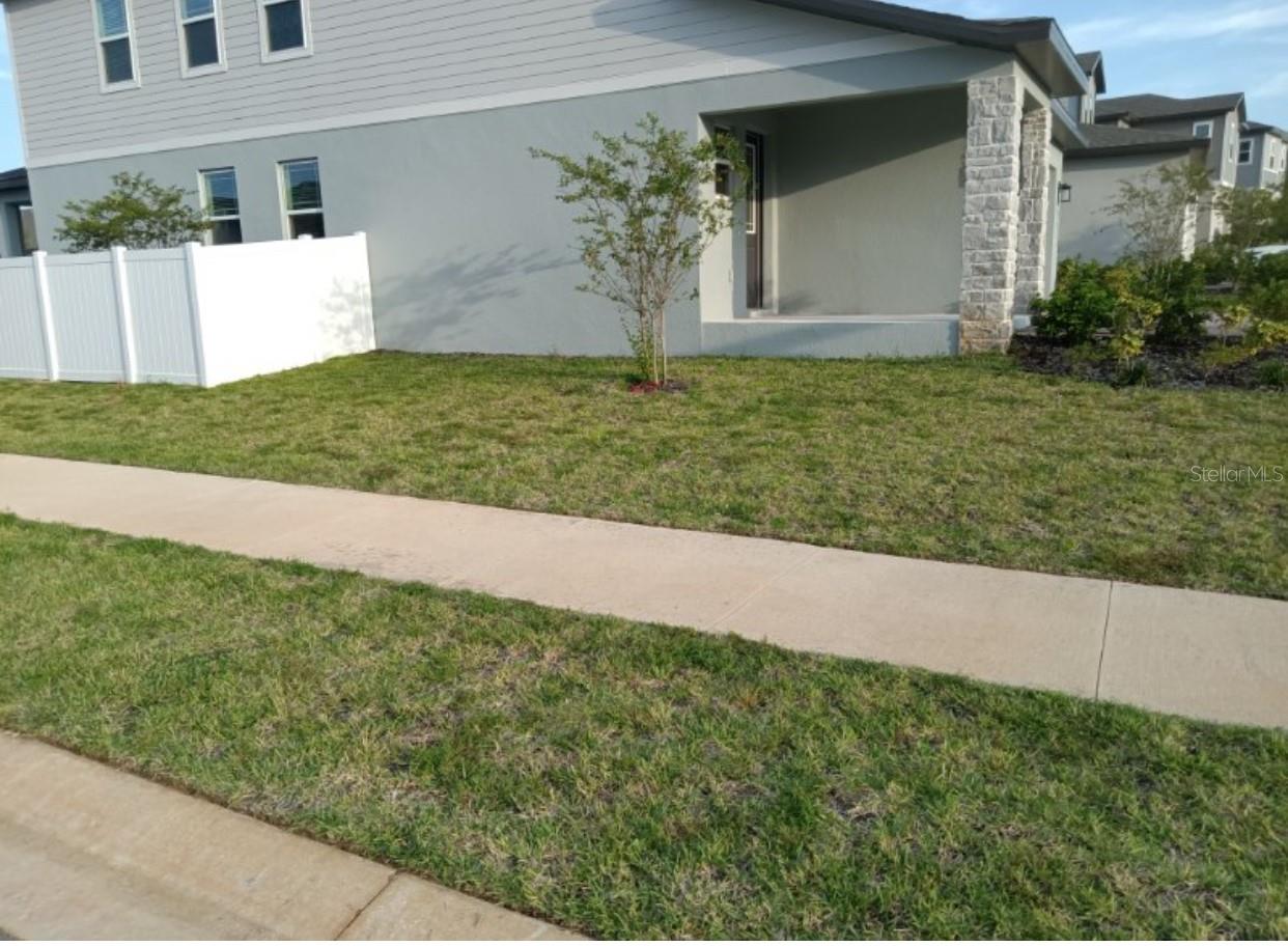 2372 Treasure Hill St Property Photo 4