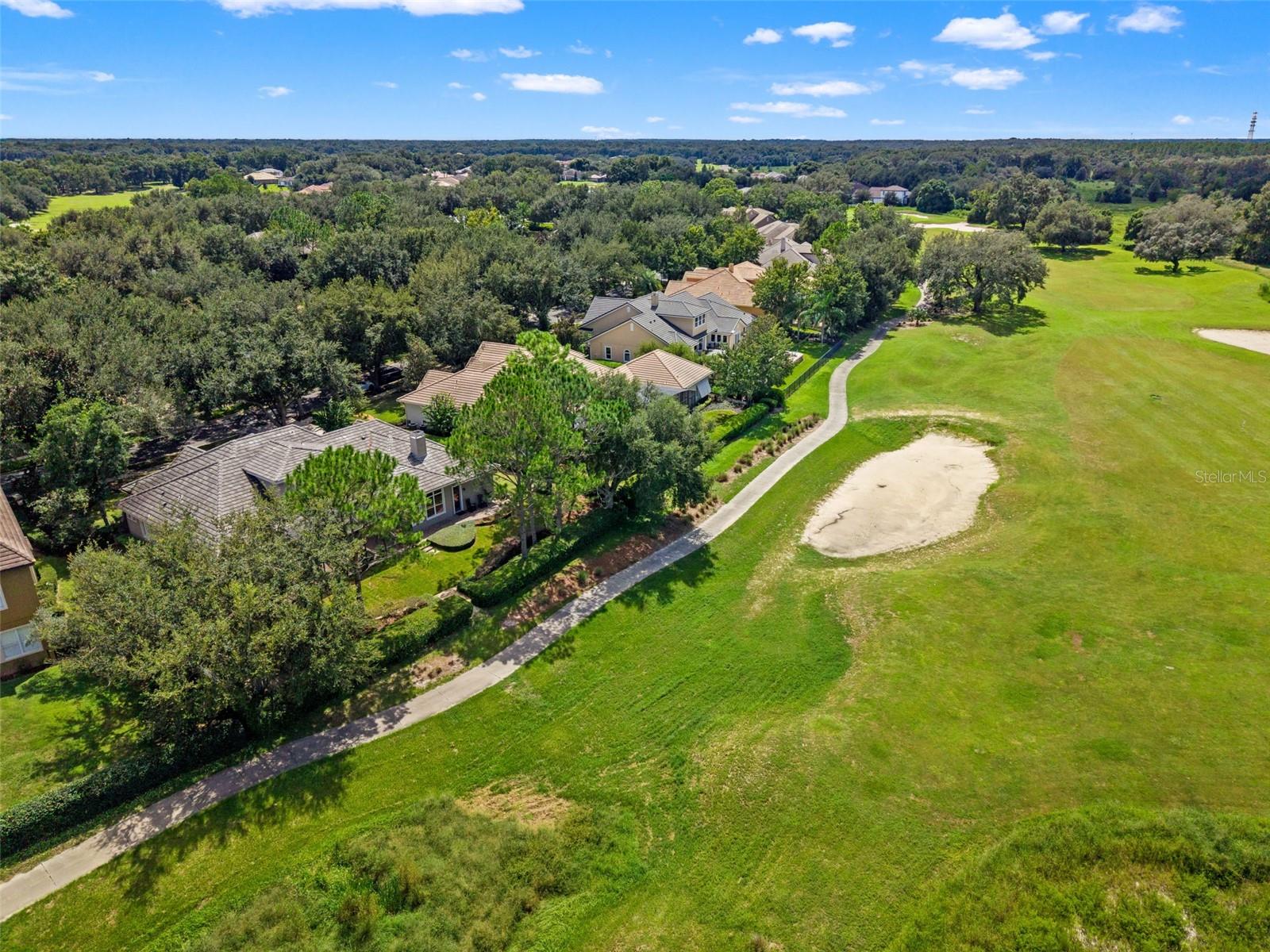 25535 Hawks Run Ln Property Photo 62