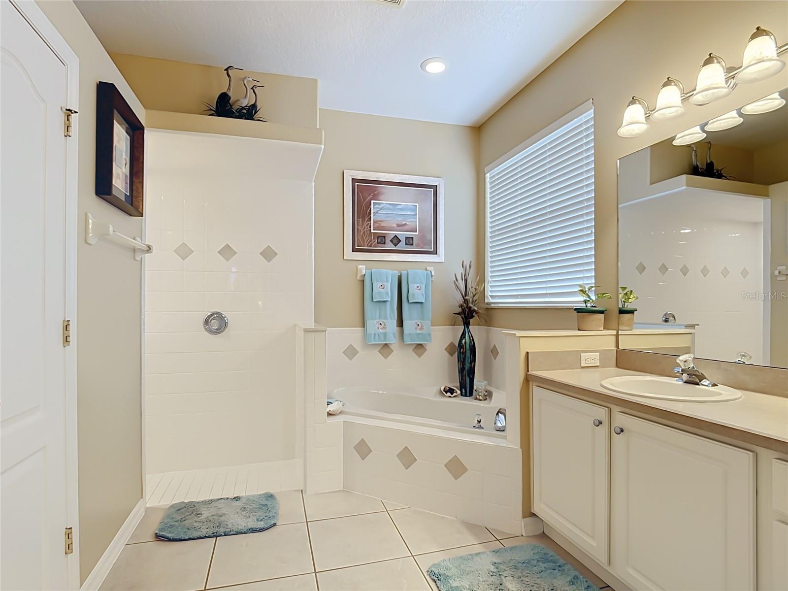5243 Hammock Pointe Ct Property Photo 42
