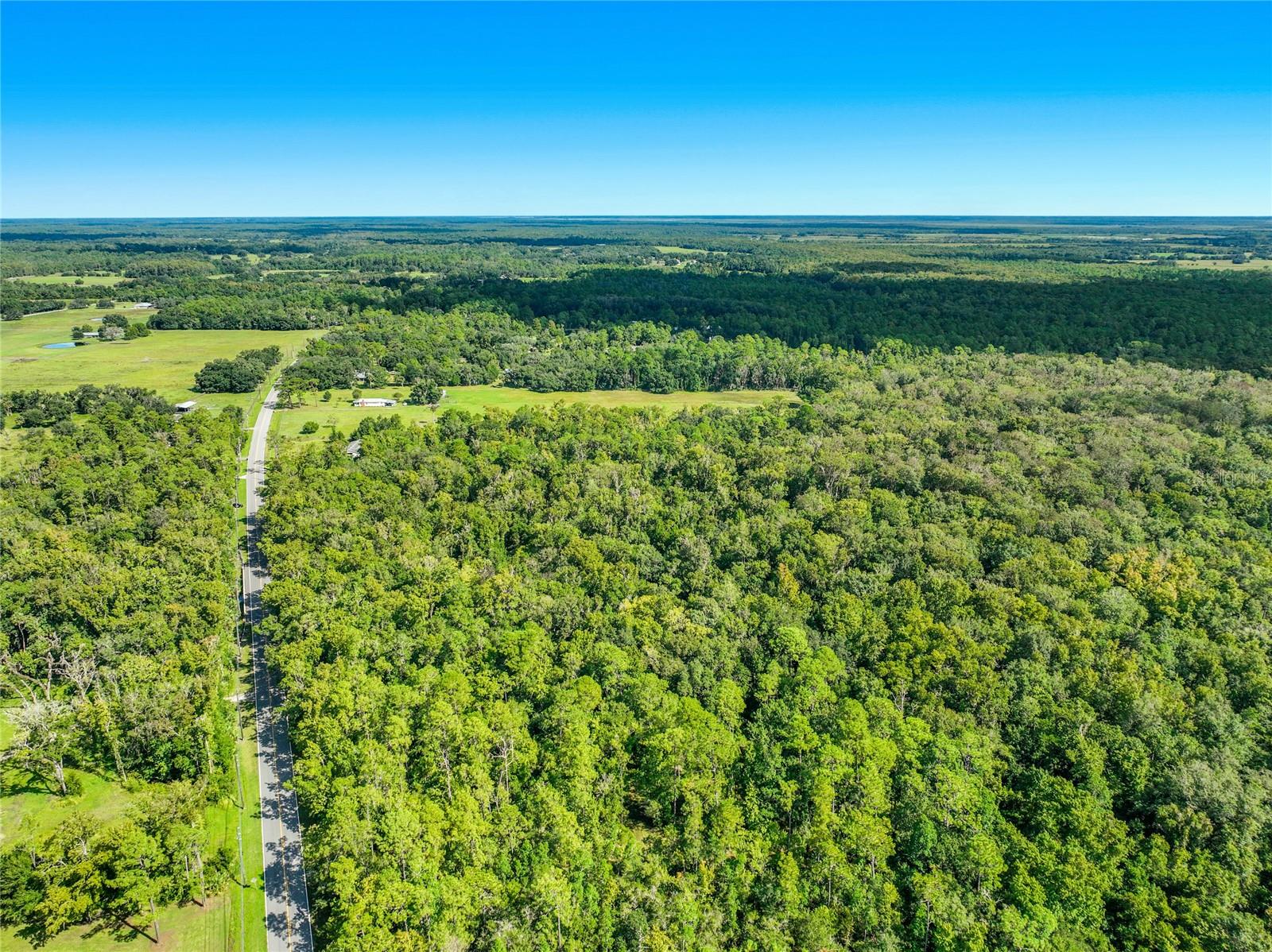 425 S Fort Christmas Rd Property Photo 9