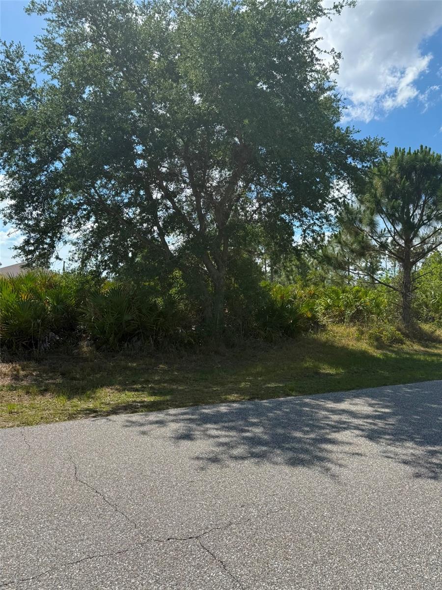 5481 Kennel St Property Photo 1