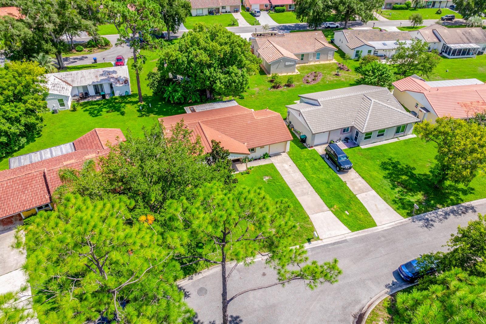 10113 Allenby Ct Property Photo 25